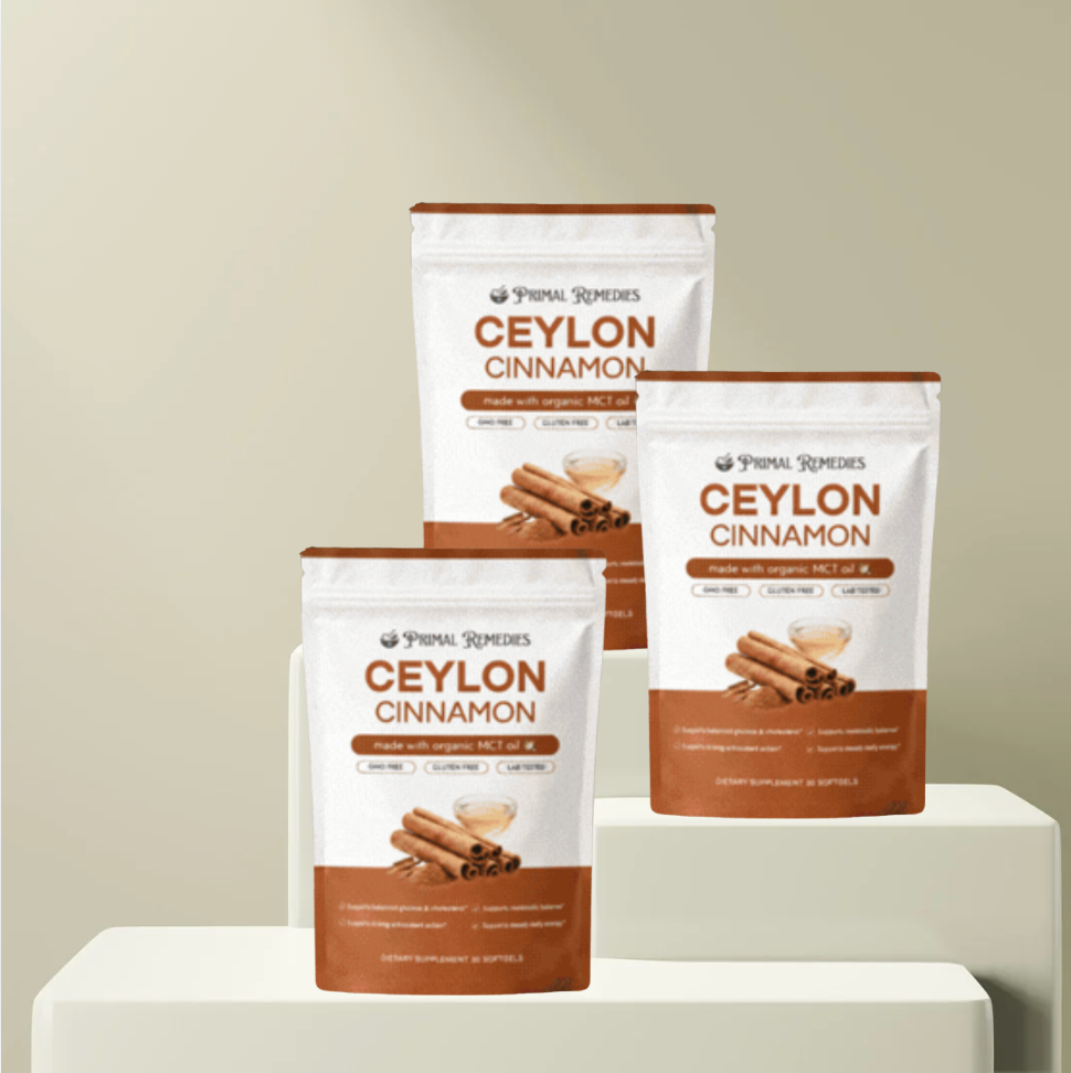 KanelHälsa | cinnamon supplement